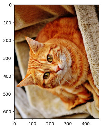 ../_images/samples_cupy_sample_15_1.png